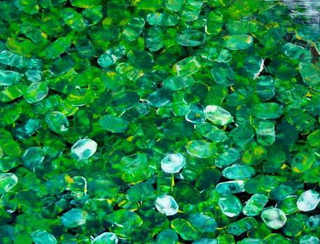 SMARAGDE - Georg Laurisch - Array auf Array - Array - Array SMARAGDE - Georg Laurisch - Array auf Array - Array - Array