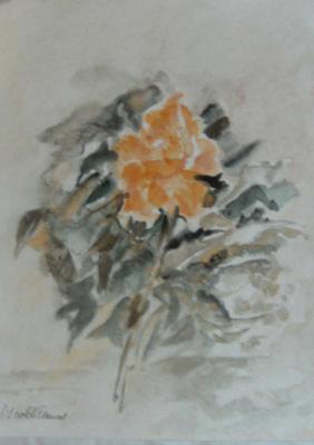 Rose - Isolde Dausel - Array auf Array - Array - Array Rose - Isolde Dausel - Array auf Array - Array - Array