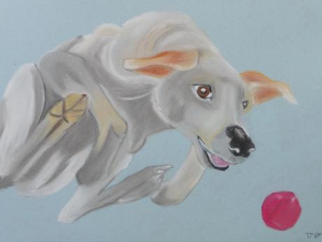 Freude - Anneke Freudenberger - Array auf Array - Array - Array Freude - Anneke Freudenberger - Array auf Array - Array - Array