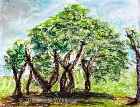 Baumgruppe - Beate Weinstein - auf - Array - Baumgruppe - Beate Weinstein - auf - Array -