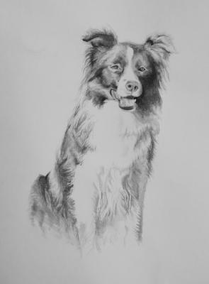 Hund Maja - Astrid Mehl - auf Array - Array - Hund Maja - Astrid Mehl - auf Array - Array -