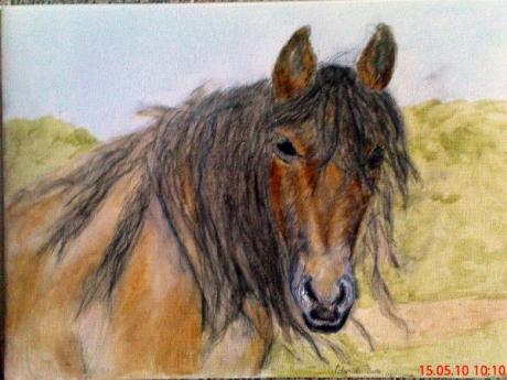 Gina der \Fisch\ - Doris Sylke Schapitz - Array auf Array - Array - Array Gina der \Fisch\ - Doris Sylke Schapitz - Array auf Array - Array - Array