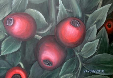 Hagebutten - Johanna Gmoser - Array auf Array - Array - Array Hagebutten - Johanna Gmoser - Array auf Array - Array - Array