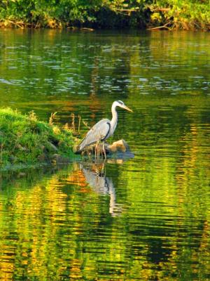 Morgens an der Saale - Wolfgang Bergter - Array auf Array - Array - Morgens an der Saale - Wolfgang Bergter - Array auf Array - Array -
