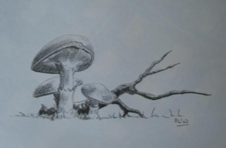 kleine Pause beim spazieren gehen 1 - Sabina Breden - auf - Array - kleine Pause beim spazieren gehen 1 - Sabina Breden - auf - Array -