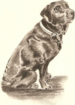 Pacco - Thomas Beschorner - Array auf Array - Array - Array Pacco - Thomas Beschorner - Array auf Array - Array - Array