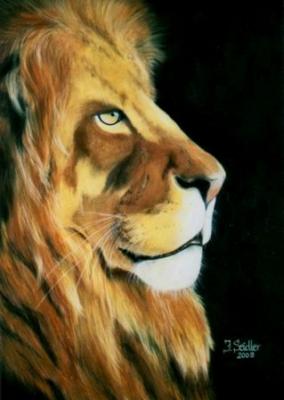 Löwenkopfportrait - Jana Seidler - Array auf Array - Array - Array Löwenkopfportrait - Jana Seidler - Array auf Array - Array - Array