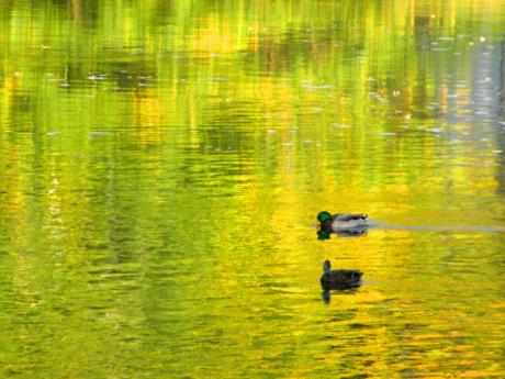 Das Pärchen - Wolfgang Bergter - Array auf Array - Array - Das Pärchen - Wolfgang Bergter - Array auf Array - Array -