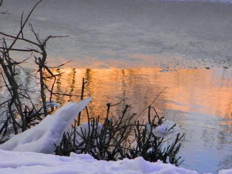 Feuer und Eis - Wolfgang Bergter - Array auf Array - Array - Feuer und Eis - Wolfgang Bergter - Array auf Array - Array -