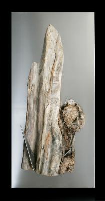 Stachelbaum - Thomas Fröhlich - Array auf - Array - Stachelbaum - Thomas Fröhlich - Array auf - Array -