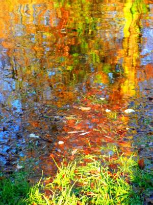 Am Wasser - Wolfgang Bergter - Array auf Array - Array - Array Am Wasser - Wolfgang Bergter - Array auf Array - Array - Array