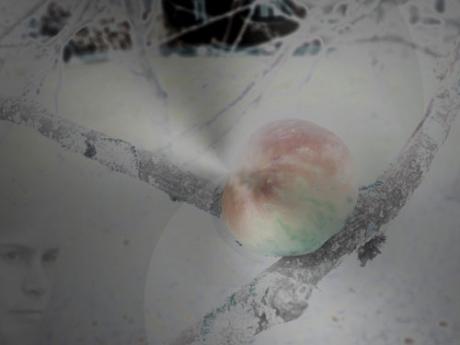 Empfindsamkeit - u.spuhl - auf - Array - Empfindsamkeit - u.spuhl - auf - Array -