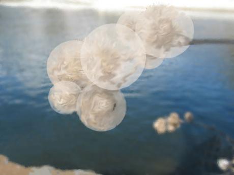 Vertrauen - u.spuhl - auf - Array - Vertrauen - u.spuhl - auf - Array -