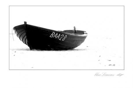 Am Meer 1 - blueLemons - auf Array - Array - Am Meer 1 - blueLemons - auf Array - Array -