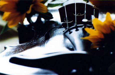 Stilleben III - dk - auf - Array - Stilleben III - dk - auf - Array -