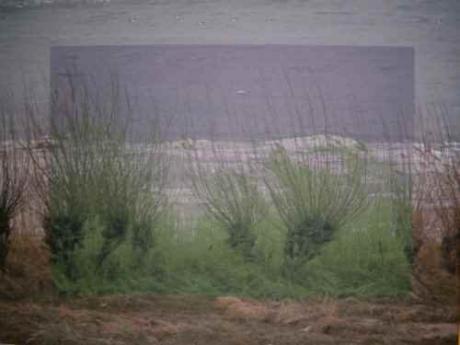 Elbufer - sonnenlicht - auf - Array - Elbufer - sonnenlicht - auf - Array -