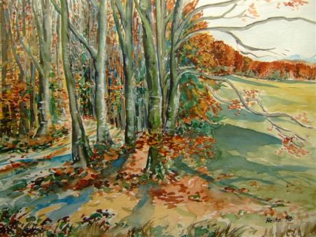 Waldrand im Herbst - Heike - Array auf Array - Array - Waldrand im Herbst - Heike - Array auf Array - Array -