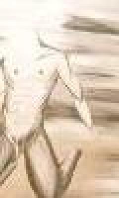 der Schatten - Kulnig - Array auf Array - Array - der Schatten - Kulnig - Array auf Array - Array -