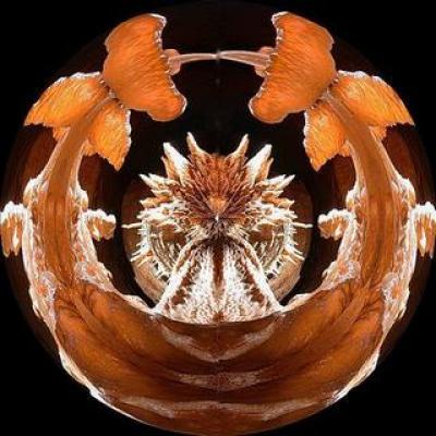 love - newhouseofart - auf - Array - love - newhouseofart - auf - Array -