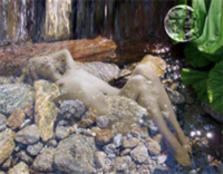 der Bach - Janosch - auf Array - Array - der Bach - Janosch - auf Array - Array -