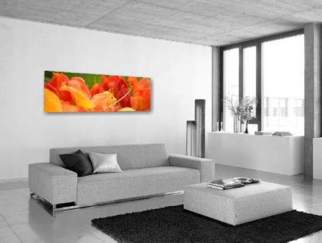 Z4 0505 - Thomas H. Eichkorn Zeit4men - auf - Array - Z4 0505 - Thomas H. Eichkorn Zeit4men - auf - Array -