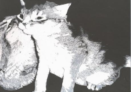 Kätzchen 36 - T.Niegsch - Array auf Array - Array - Kätzchen 36 - T.Niegsch - Array auf Array - Array -