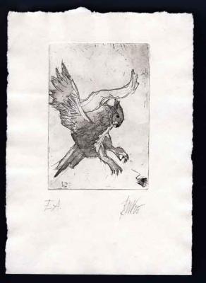 Eule auf Beutefang - Heinz Beilharz - auf - Array - Eule auf Beutefang - Heinz Beilharz - auf - Array -