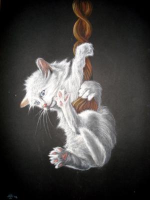 Kitty - Martin MartinMarian - Array auf Array - Array - Kitty - Martin MartinMarian - Array auf Array - Array -