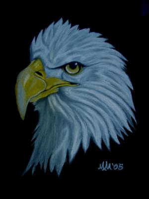 Hawk - Martin MartinMarian - Array auf Array - Array - Hawk - Martin MartinMarian - Array auf Array - Array -