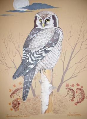 Eule - Lena Wanner - Array auf Array - Array - Eule - Lena Wanner - Array auf Array - Array -