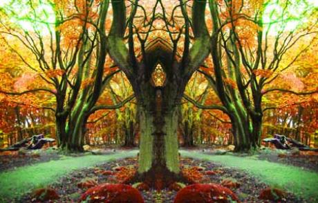 Guard -  Pan -  auf  - Array - 