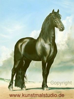 Friesenhengst - Klaus Heilmann - Array auf Array - Array - Friesenhengst - Klaus Heilmann - Array auf Array - Array -