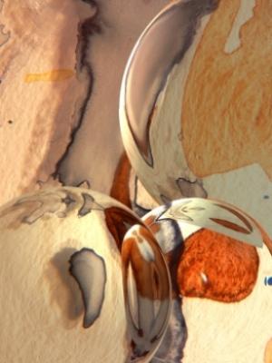 wealth of detail XXXVIII - Klaus Heilmann - auf - Array - wealth of detail XXXVIII - Klaus Heilmann - auf - Array -