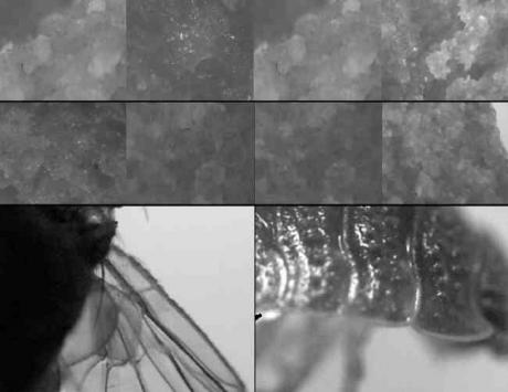 Origin - Christian Scumpos - auf - Array - Origin - Christian Scumpos - auf - Array -