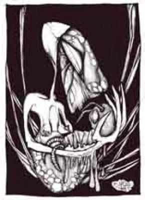 Das Netz -komplett Kulidesign - pardise - auf - Array - Das Netz -komplett Kulidesign - pardise - auf - Array -