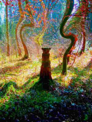 Acid-Bär - surRAelatic ART - auf - Array - Acid-Bär - surRAelatic ART - auf - Array -