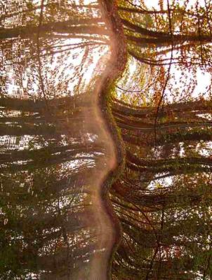 ColorSnake - surRAelatic ART - auf - Array - ColorSnake - surRAelatic ART - auf - Array -