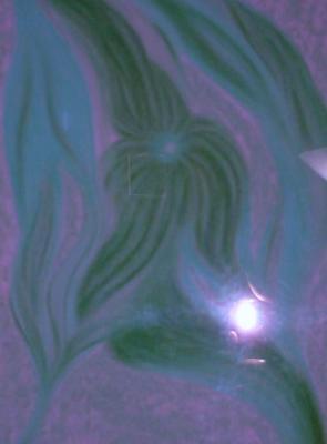 ... - Anna Eli - Ana Mei - Array auf - Array - ... - Anna Eli - Ana Mei - Array auf - Array -