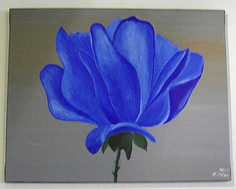 Rose blau - faridi - Array auf Array - Array - Rose blau - faridi - Array auf Array - Array -