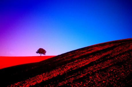 Alentejo - dinunzio007 - auf Array - Array - Alentejo - dinunzio007 - auf Array - Array -