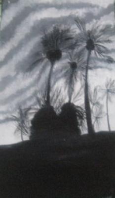 Palmen - Dianas - Array auf Array - Array - Palmen - Dianas - Array auf Array - Array -