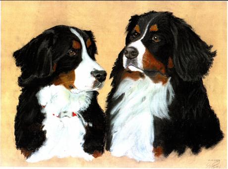 Bernersennen-Duo - Georg Rataj - Array auf Array - Array - Array Bernersennen-Duo - Georg Rataj - Array auf Array - Array - Array