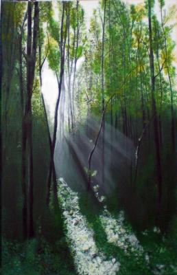 Morgens im Wald - Wolfgang Mueller - Array auf Array - Array - Array Morgens im Wald - Wolfgang Mueller - Array auf Array - Array - Array