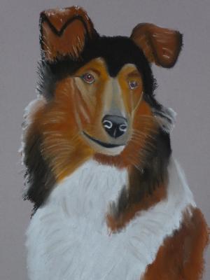 Frauchens gespiegelter Ausdruck - Anneke Freudenberger - Array auf Array - Array - Array Frauchens gespiegelter Ausdruck - Anneke Freudenberger - Array auf Array - Array - Array