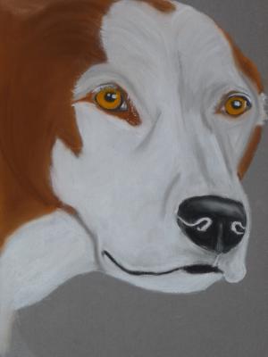 Freundlich - Anneke Freudenberger - Array auf Array - Array - Array Freundlich - Anneke Freudenberger - Array auf Array - Array - Array