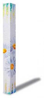 Beam Leucanthemum - Picchio Dieter Specht - Array auf - - Beam Leucanthemum - Picchio Dieter Specht - Array auf - -