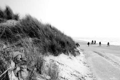 Norderneyer Dünen I - Verena Schöning - Array auf - - Norderneyer Dünen I - Verena Schöning - Array auf - -