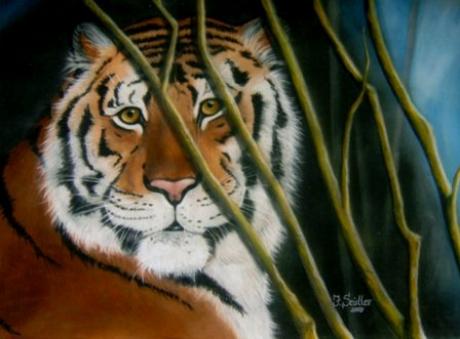 Tiger - Jana Seidler - Array auf - Array - Array Tiger - Jana Seidler - Array auf - Array - Array