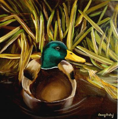 Erpel Anton - Georg Rataj - Array auf Array - Array - Erpel Anton - Georg Rataj - Array auf Array - Array -