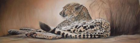 ruhender Gepard - Erhard Sünder - Array auf - Array - Array ruhender Gepard - Erhard Sünder - Array auf - Array - Array